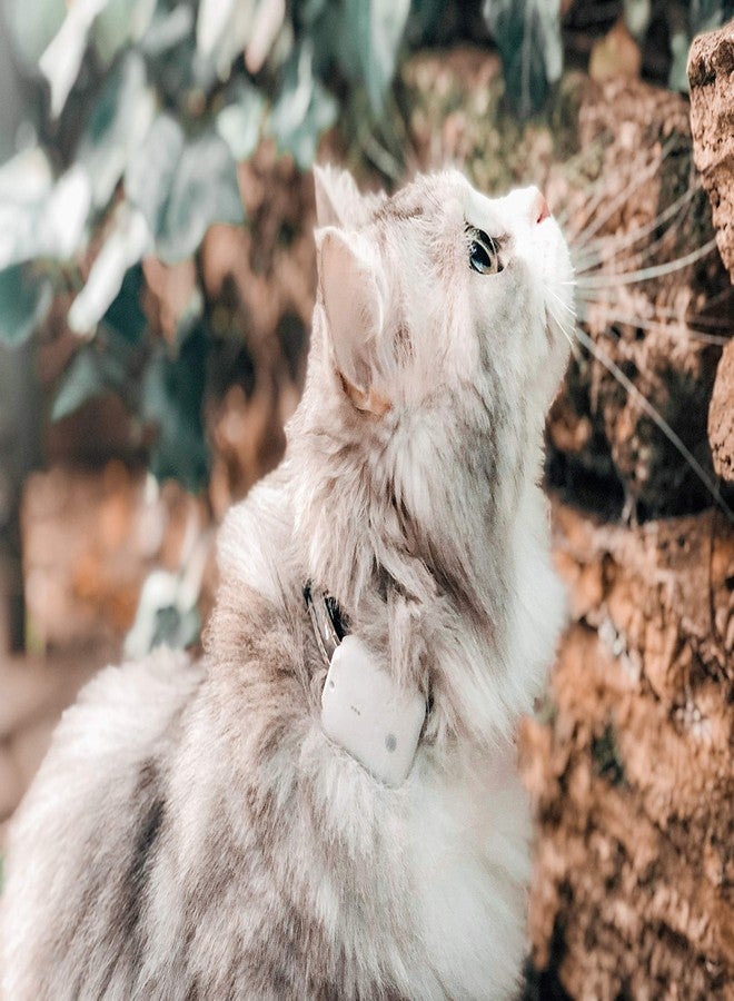 Girafus Pro-Track-tor - Ultra-Lightweight Cat Finder (ONLY 0.28oz) - No Monthly Fees - 1600ft Range RF Tracker - Works Where GPS Fails - Find Hidden Cats Anywhere - Image 5